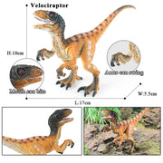 Oenux Prehistoric Jurassic Dinosaurs World Pterodactyl Saichania Animals Model Action Figures PVC High Quality Toy For Kids Gift