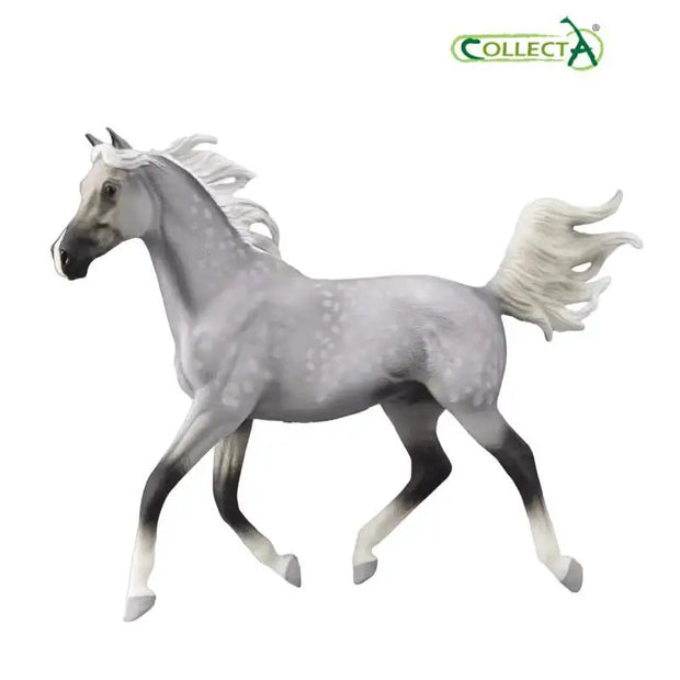 2022Collecta Appaloosa Arabian Horse Hanoverian Yakut horse Simulated Animal Toy Model